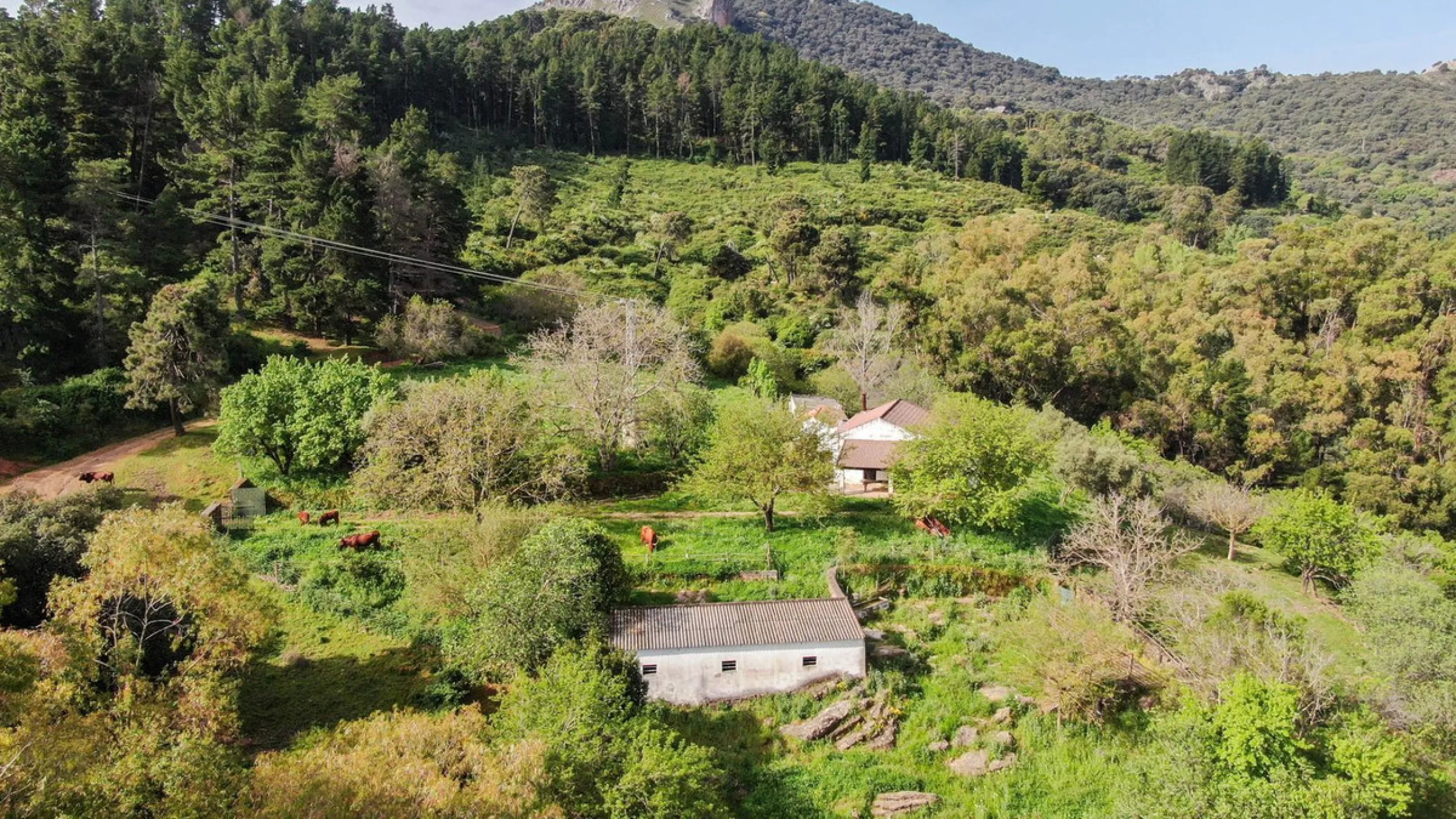 Charming Estate with Spectacular Views in a Natural Paradise – Just 5 Minutes from Gaucín