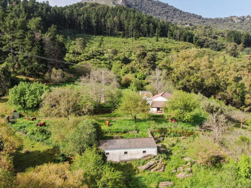 Charming Estate with Spectacular Views in a Natural Paradise – Just 5 Minutes from Gaucín
