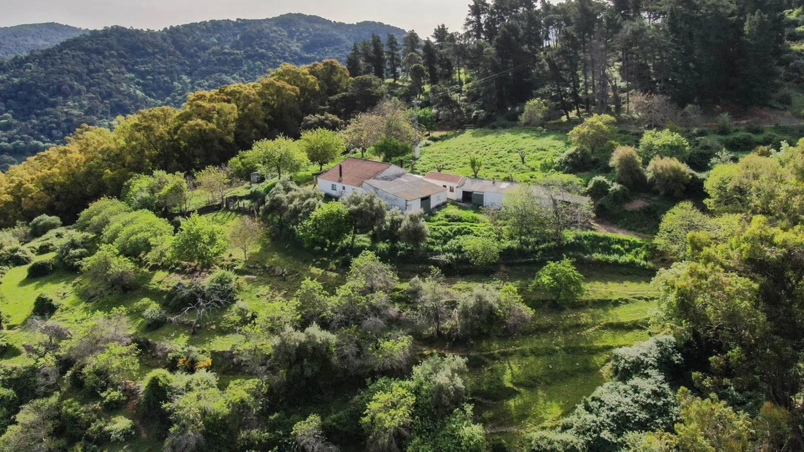 Charming Estate with Spectacular Views in a Natural Paradise – Just 5 Minutes from Gaucín
