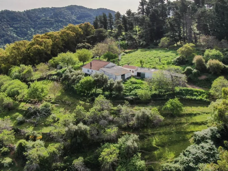 Charming Estate with Spectacular Views in a Natural Paradise – Just 5 Minutes from Gaucín