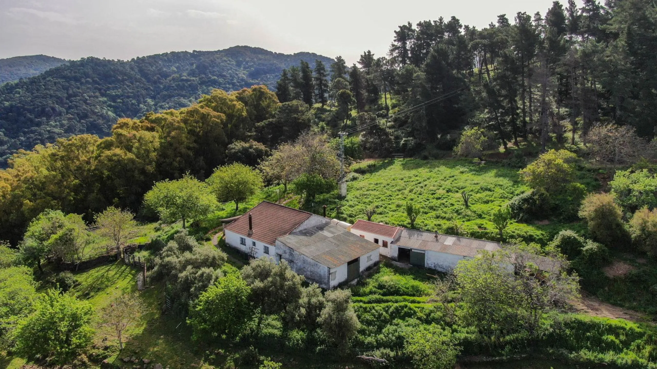 Charming Estate with Spectacular Views in a Natural Paradise – Just 5 Minutes from Gaucín