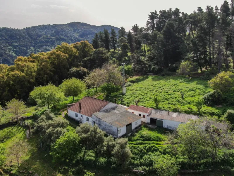 Charming Estate with Spectacular Views in a Natural Paradise – Just 5 Minutes from Gaucín