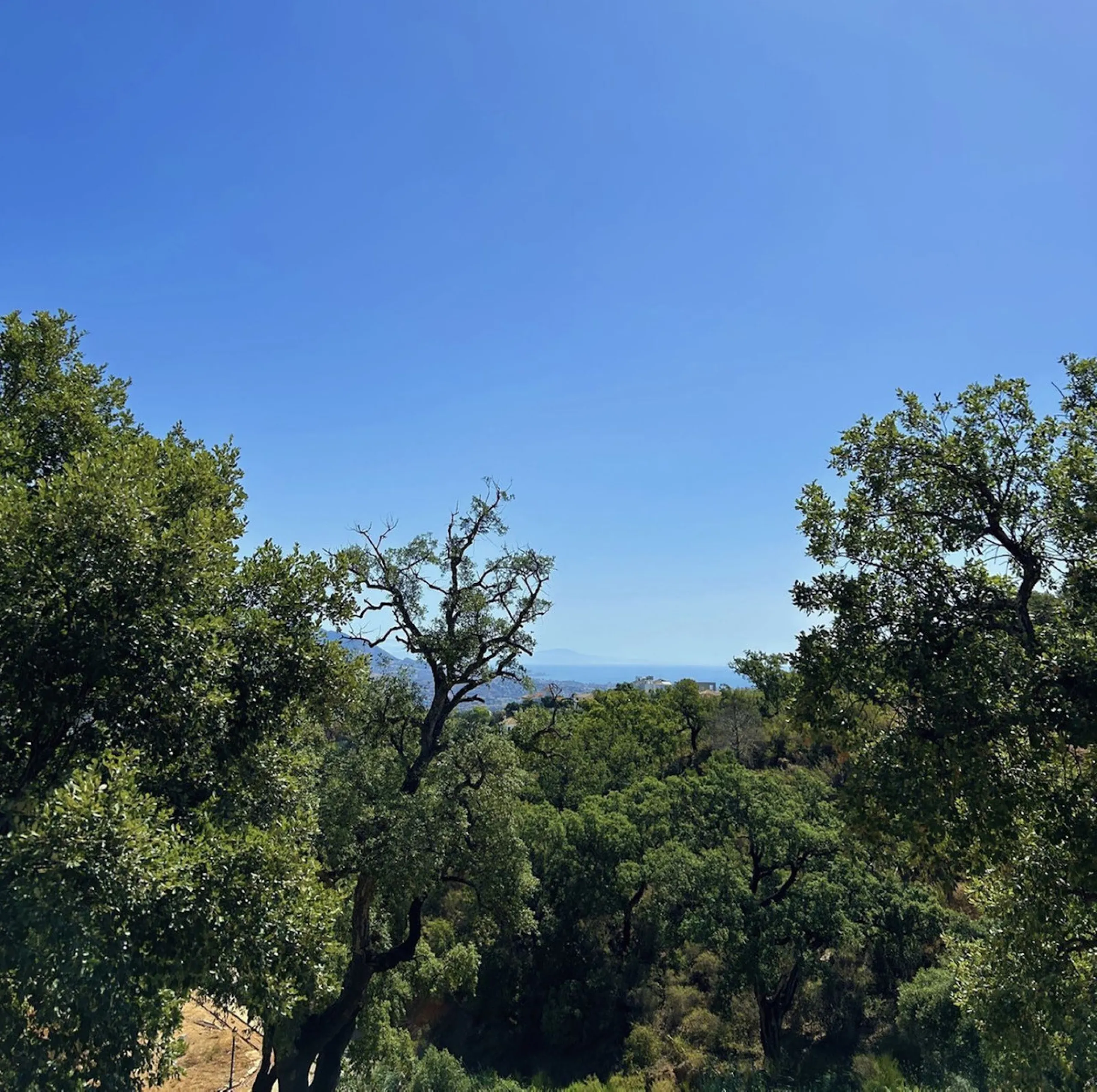 This large plot offers permission for a 471,02 m2 villa.