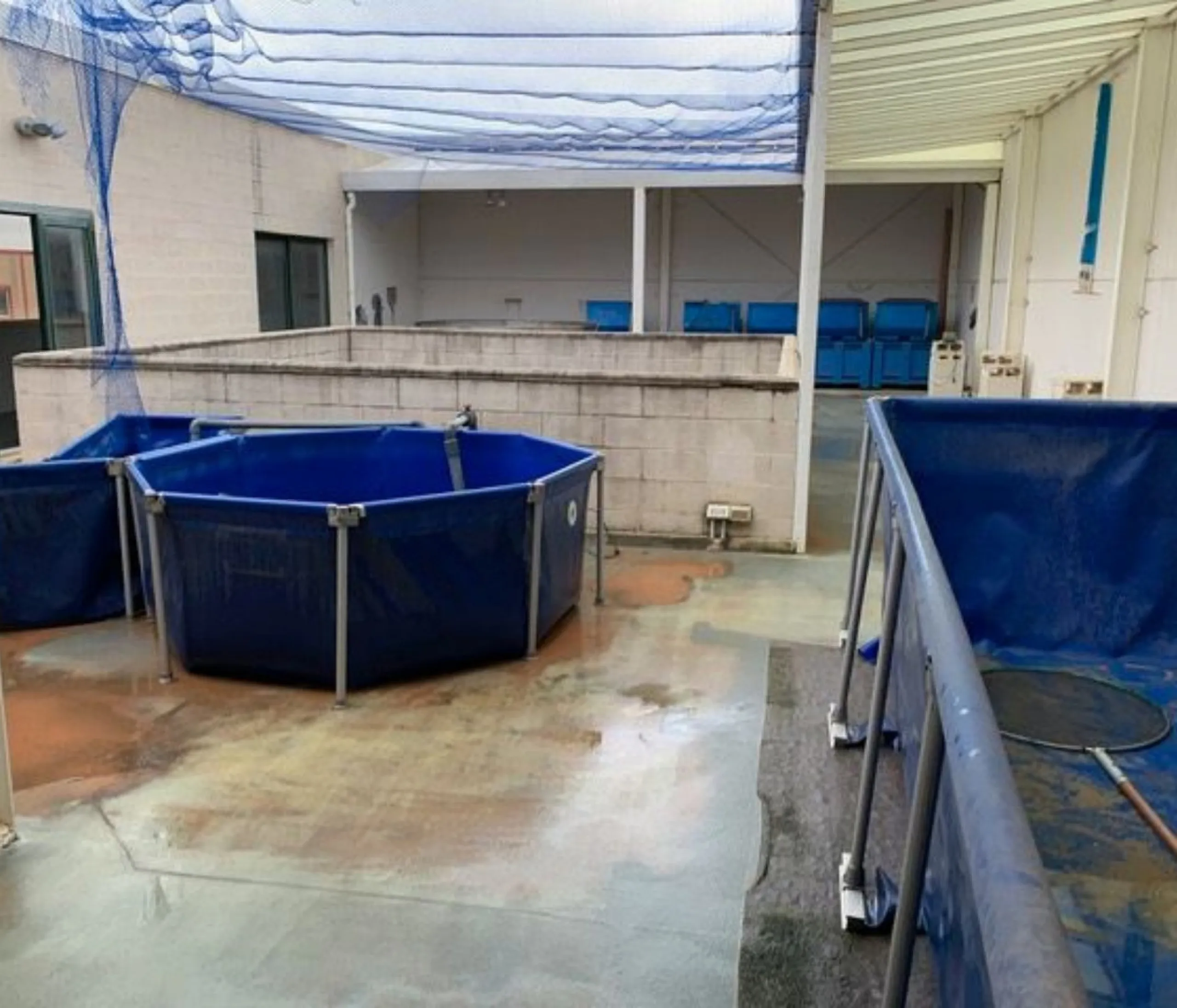 Industrial building, Manilva, Costa del Sol.