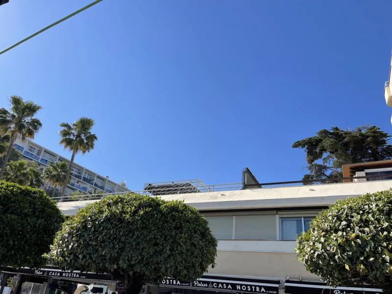 A unique facility on the first line in the heart of Marbella.