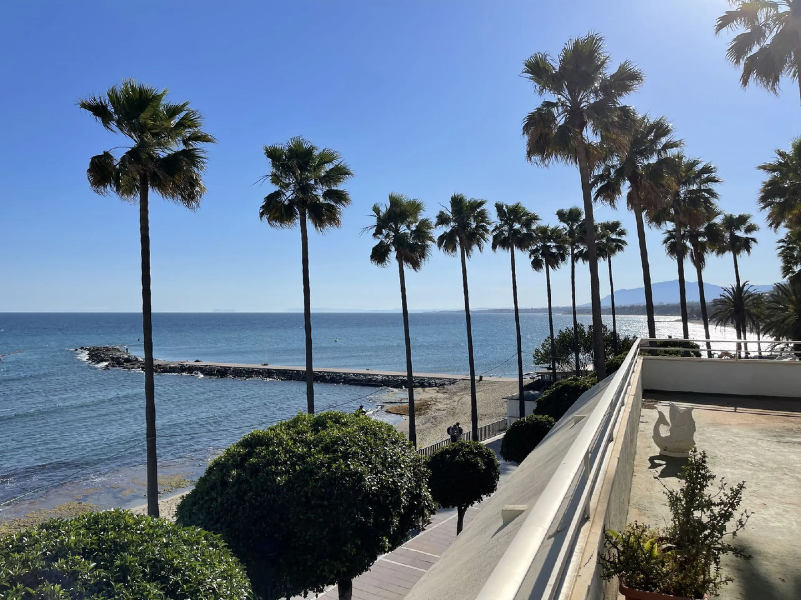 A unique facility on the first line in the heart of Marbella.