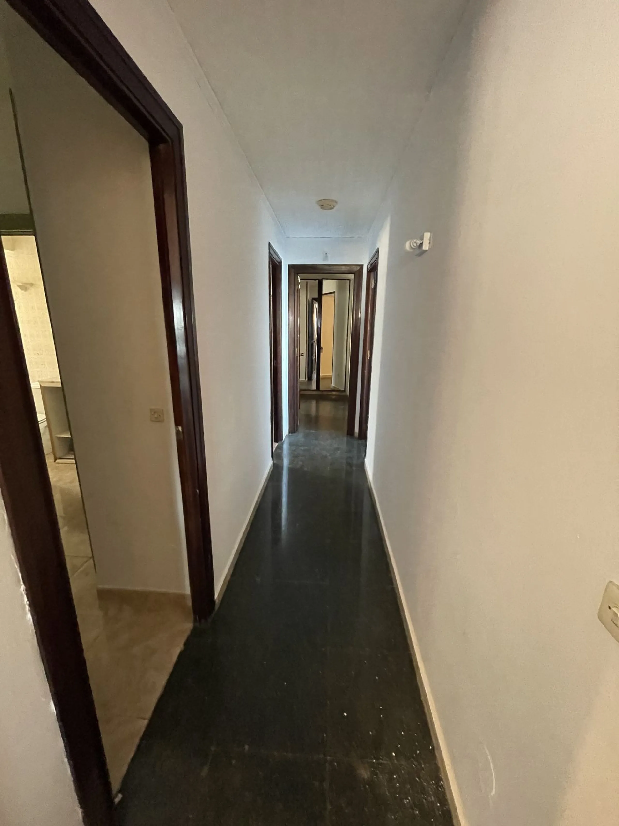 A unique facility on the first line in the heart of Marbella.