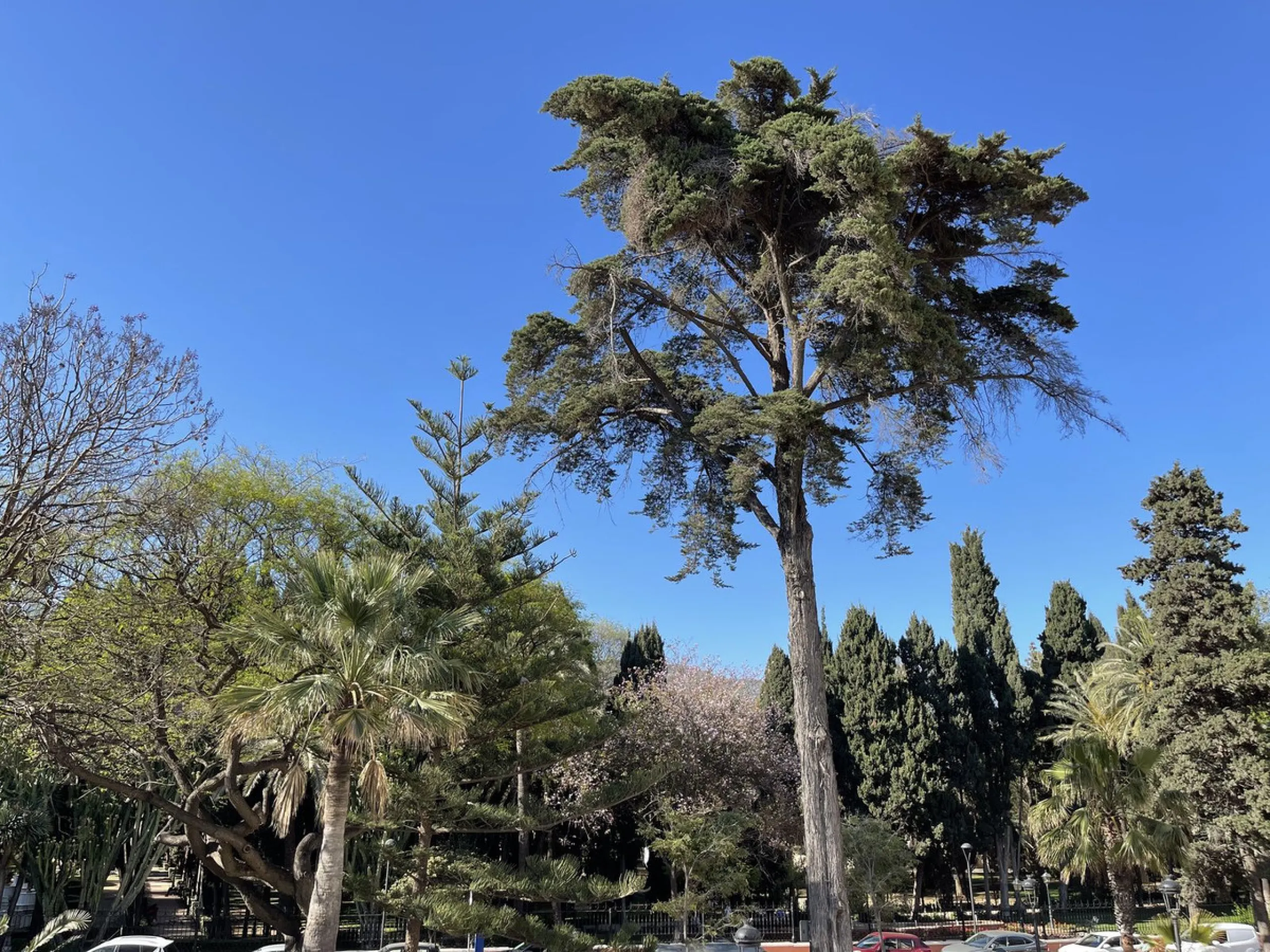 A unique facility on the first line in the heart of Marbella.