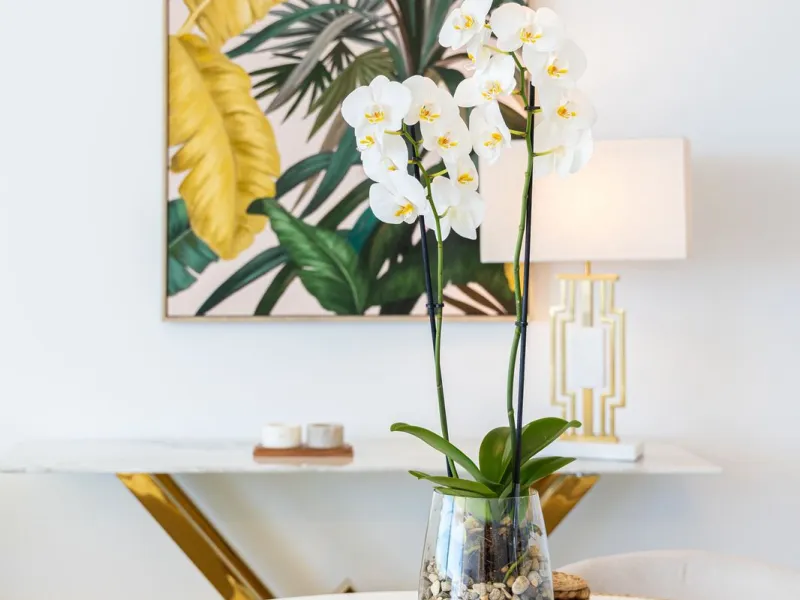Would you like to live just few steps from the beach, feel the waves at your terrace and enjoy your own roof top solarium, look over the rooftops and feel the sea breeze? This exclusive penthouse apartment is located in one of the finest new builds called