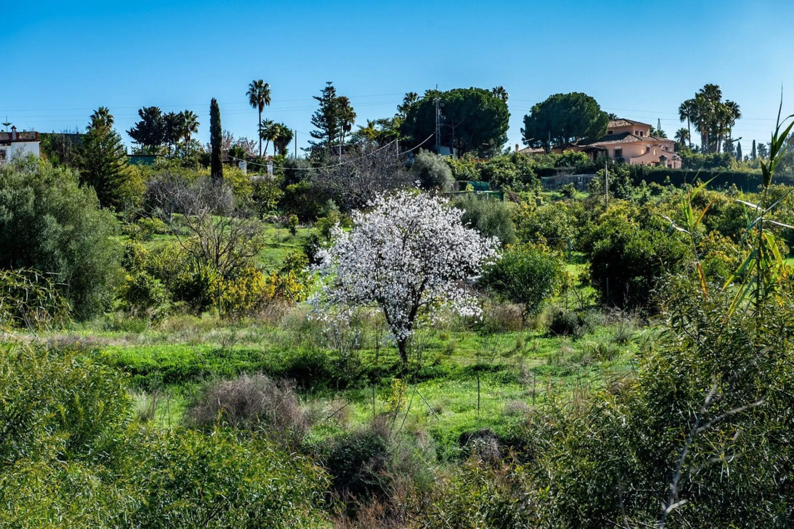 Plot - Residential Plot в продаже в Estepona, Málaga. Площадь дома 480 м². Площадь участка 1137 м²