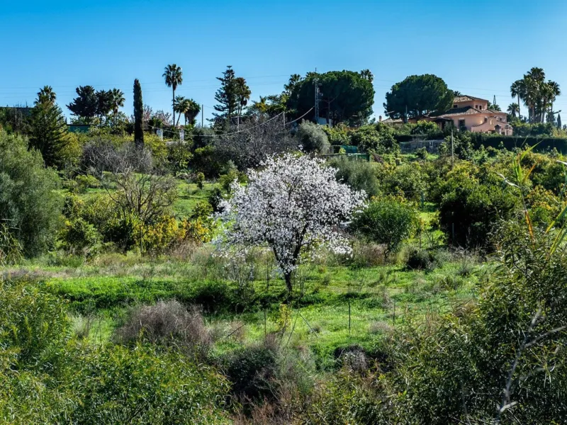 Plot - Residential Plot в продаже в Estepona, Málaga. Площадь дома 480 м². Площадь участка 1137 м²