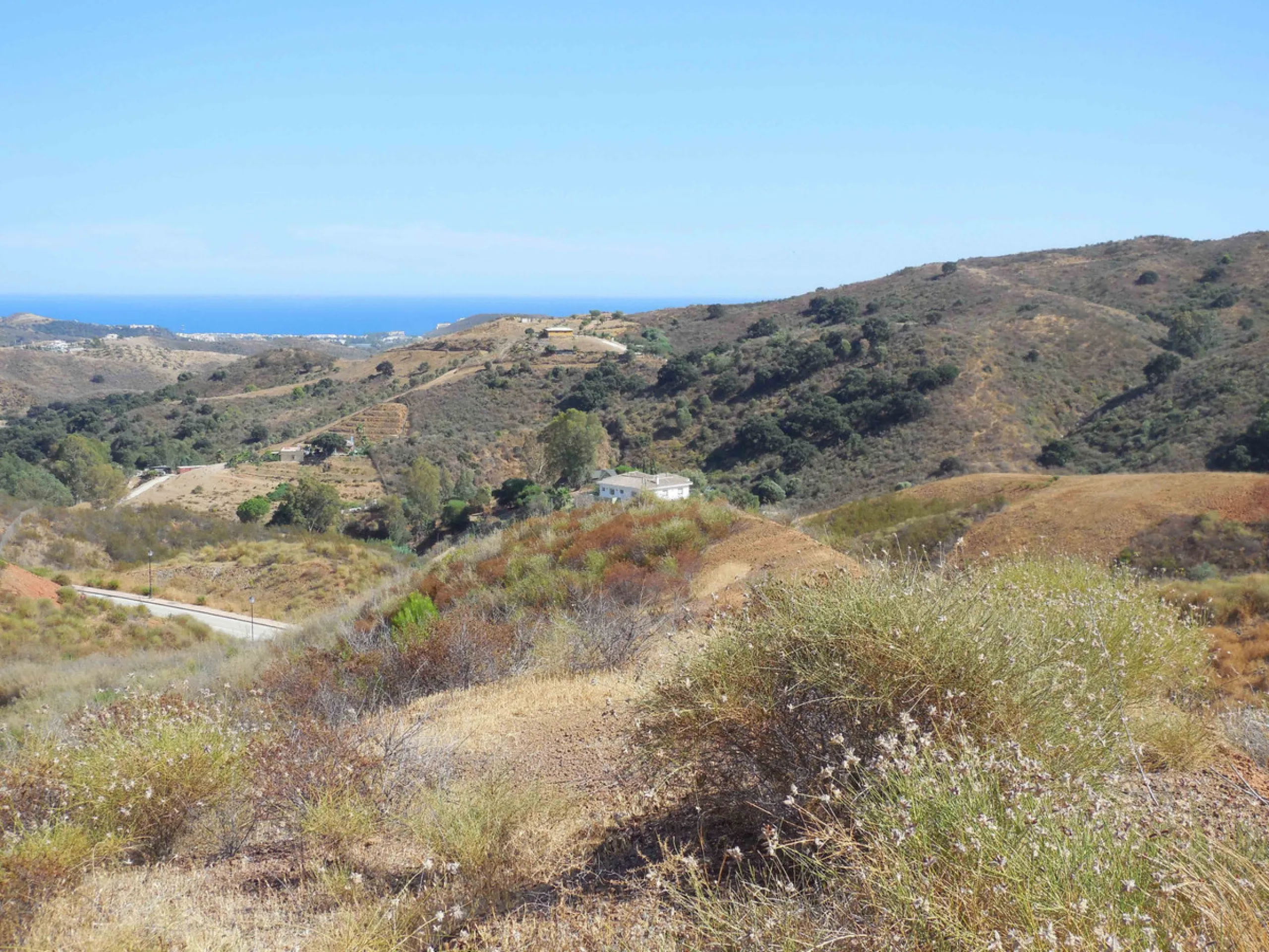Plot with building license.