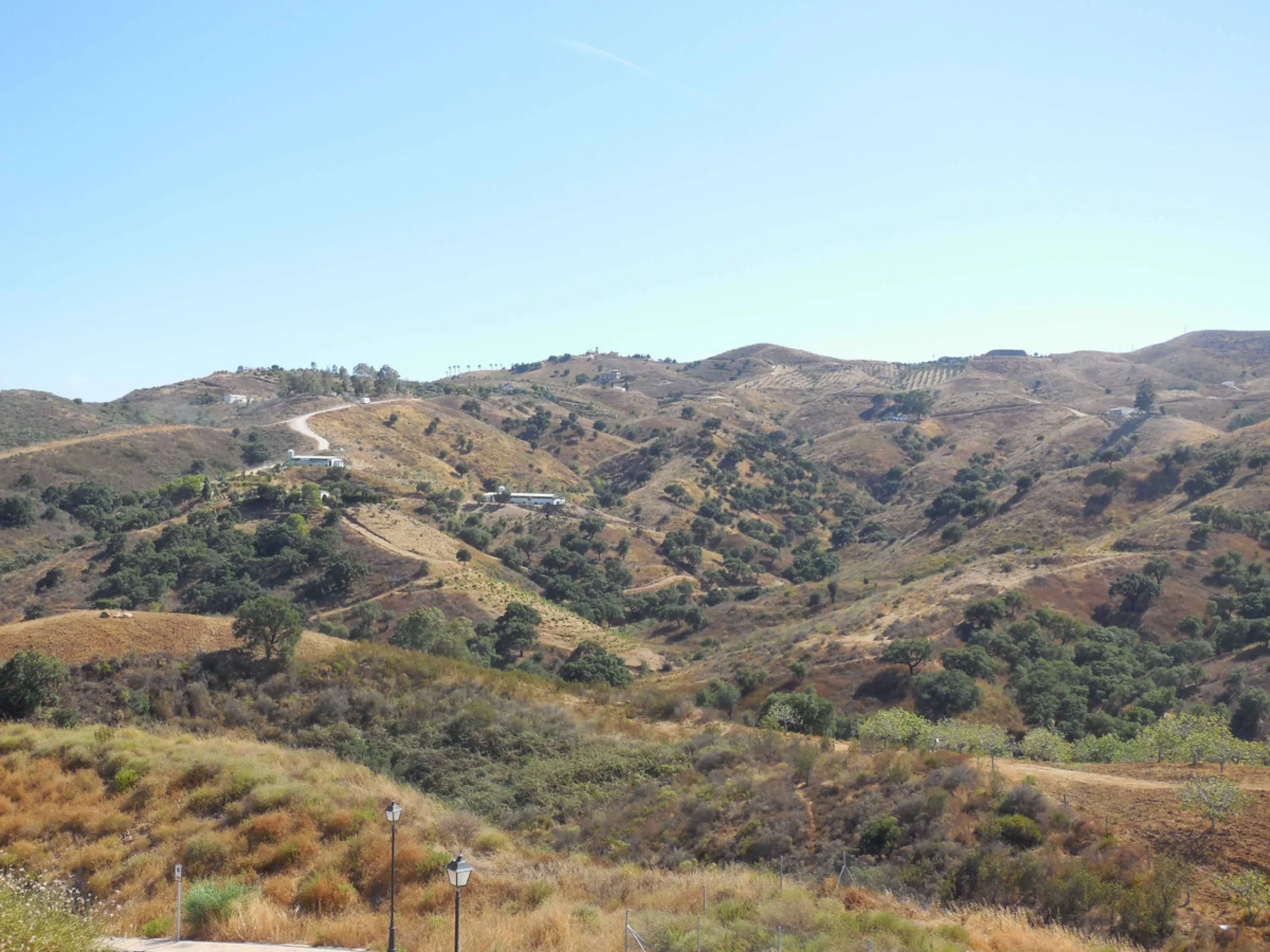 Plot with building license.