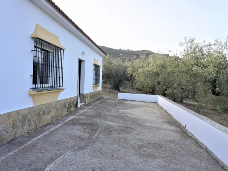 Just outside Alcaucin and within walking distance of the village you can find this finca with a well-maintained country house of 121 m2. In front of the house there ́s a spacious terrace overlooking the olive grove of a 130 olive trees and other fruit tre