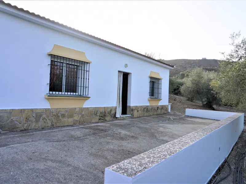 Just outside Alcaucin and within walking distance of the village you can find this finca with a well-maintained country house of 121 m2. In front of the house there ́s a spacious terrace overlooking the olive grove of a 130 olive trees and other fruit tre