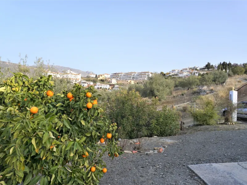 Just outside Alcaucin and within walking distance of the village you can find this finca with a well-maintained country house of 121 m2. In front of the house there ́s a spacious terrace overlooking the olive grove of a 130 olive trees and other fruit tre