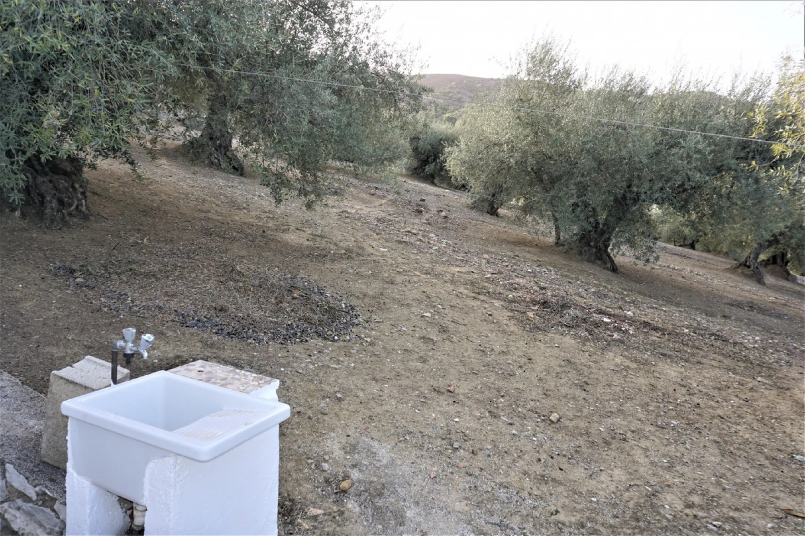 Just outside Alcaucin and within walking distance of the village you can find this finca with a well-maintained country house of 121 m2. In front of the house there ́s a spacious terrace overlooking the olive grove of a 130 olive trees and other fruit tre