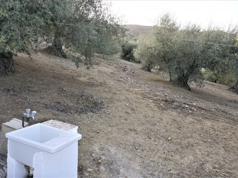 Just outside Alcaucin and within walking distance of the village you can find this finca with a well-maintained country house of 121 m2. In front of the house there ́s a spacious terrace overlooking the olive grove of a 130 olive trees and other fruit tre