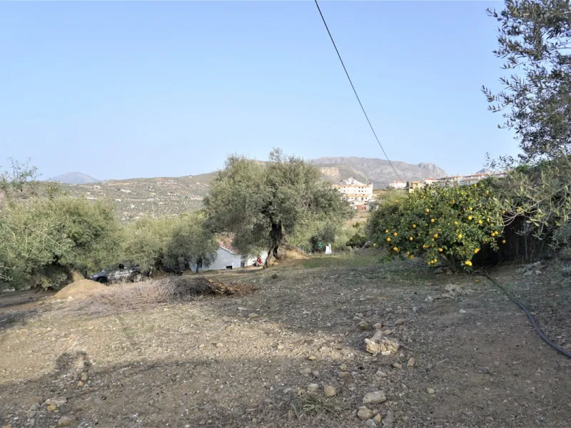 Just outside Alcaucin and within walking distance of the village you can find this finca with a well-maintained country house of 121 m2. In front of the house there ́s a spacious terrace overlooking the olive grove of a 130 olive trees and other fruit tre