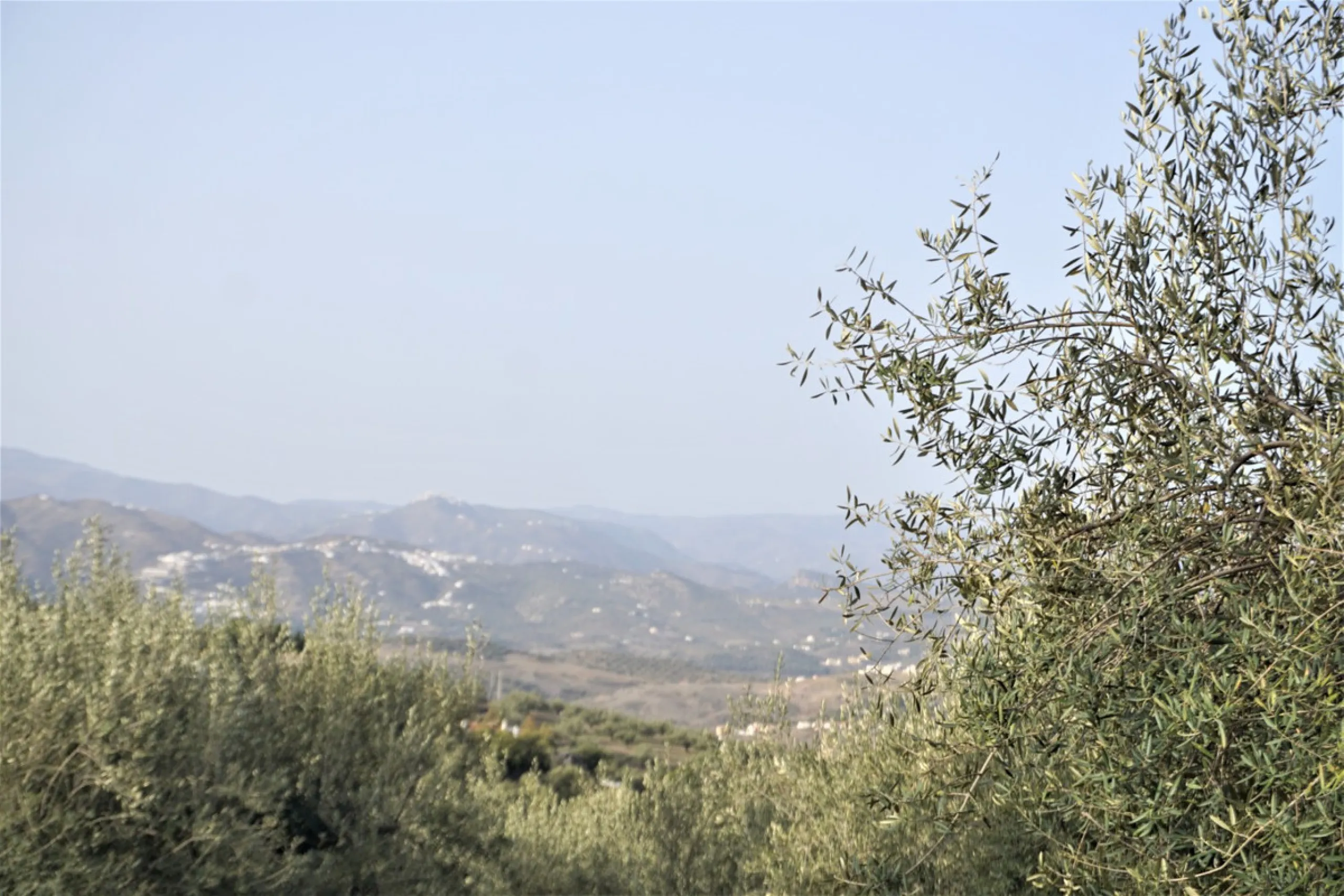 Just outside Alcaucin and within walking distance of the village you can find this finca with a well-maintained country house of 121 m2. In front of the house there ́s a spacious terrace overlooking the olive grove of a 130 olive trees and other fruit tre