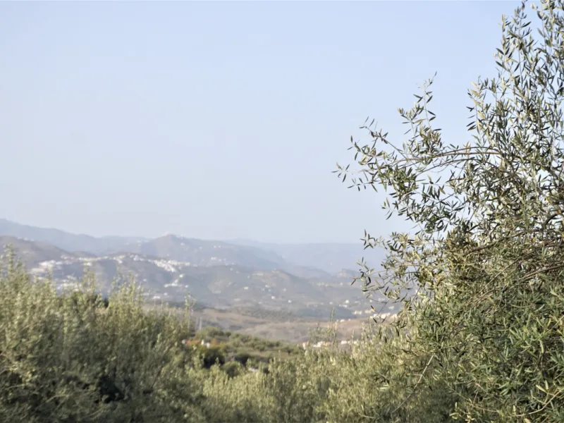Just outside Alcaucin and within walking distance of the village you can find this finca with a well-maintained country house of 121 m2. In front of the house there ́s a spacious terrace overlooking the olive grove of a 130 olive trees and other fruit tre