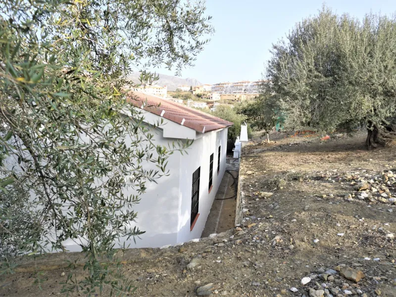 Just outside Alcaucin and within walking distance of the village you can find this finca with a well-maintained country house of 121 m2. In front of the house there ́s a spacious terrace overlooking the olive grove of a 130 olive trees and other fruit tre