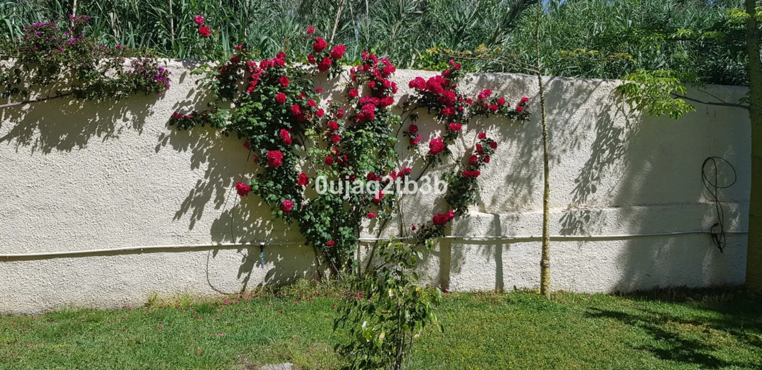 House - Detached Villa в продаже в Estepona, Málaga. В доме 5 спален и 4 ванных комнат. Площадь дома 528 м². Площадь участка 1525 м²