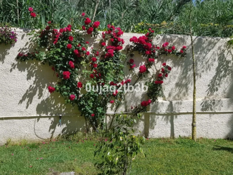 House - Detached Villa в продаже в Estepona, Málaga. В доме 5 спален и 4 ванных комнат. Площадь дома 528 м². Площадь участка 1525 м²