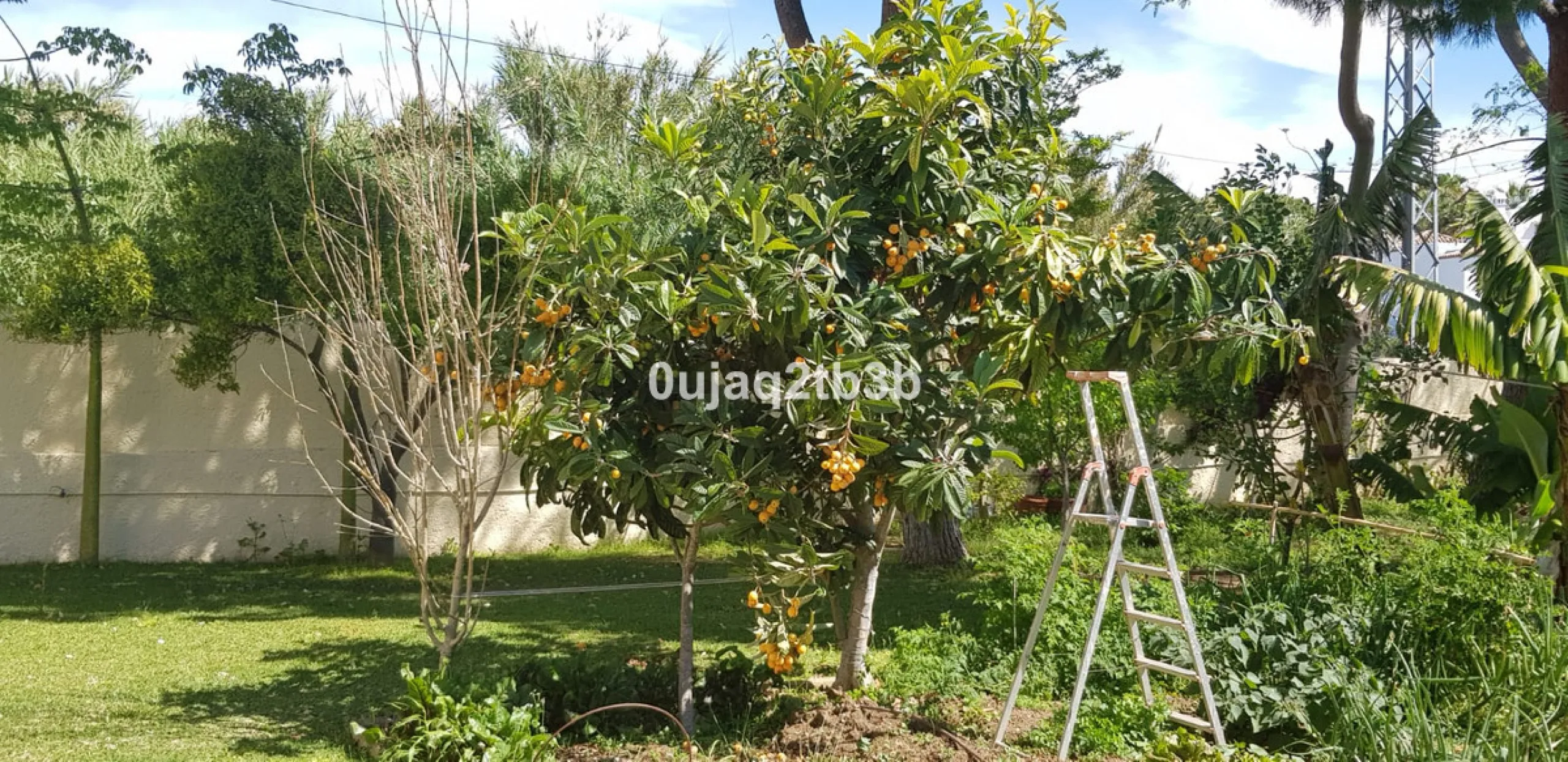 House - Detached Villa в продаже в Estepona, Málaga. В доме 5 спален и 4 ванных комнат. Площадь дома 528 м². Площадь участка 1525 м²