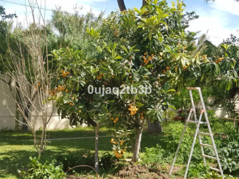 House - Detached Villa в продаже в Estepona, Málaga. В доме 5 спален и 4 ванных комнат. Площадь дома 528 м². Площадь участка 1525 м²