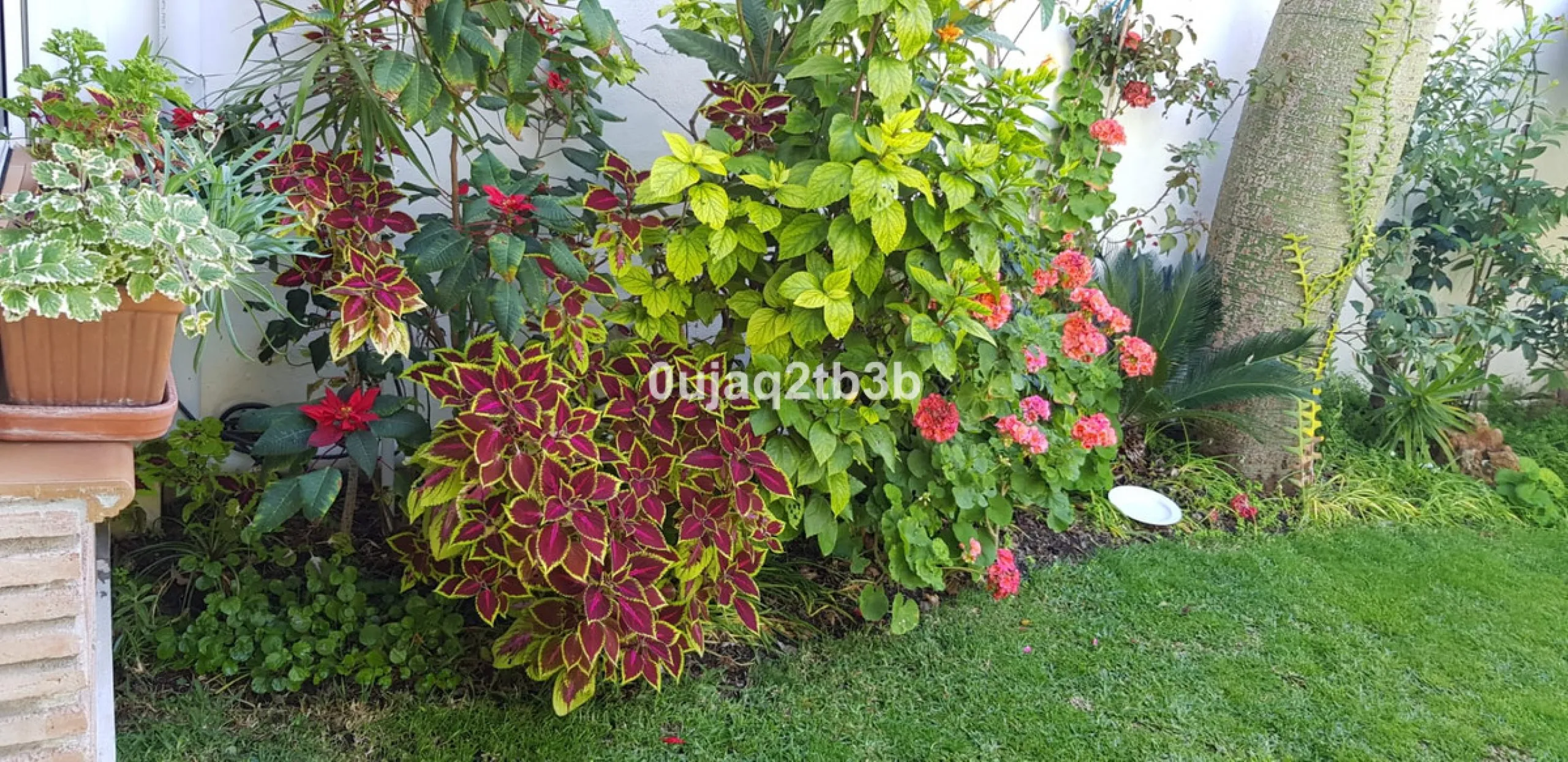 House - Detached Villa в продаже в Estepona, Málaga. В доме 5 спален и 4 ванных комнат. Площадь дома 528 м². Площадь участка 1525 м²