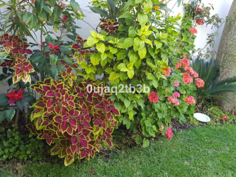 House - Detached Villa в продаже в Estepona, Málaga. В доме 5 спален и 4 ванных комнат. Площадь дома 528 м². Площадь участка 1525 м²