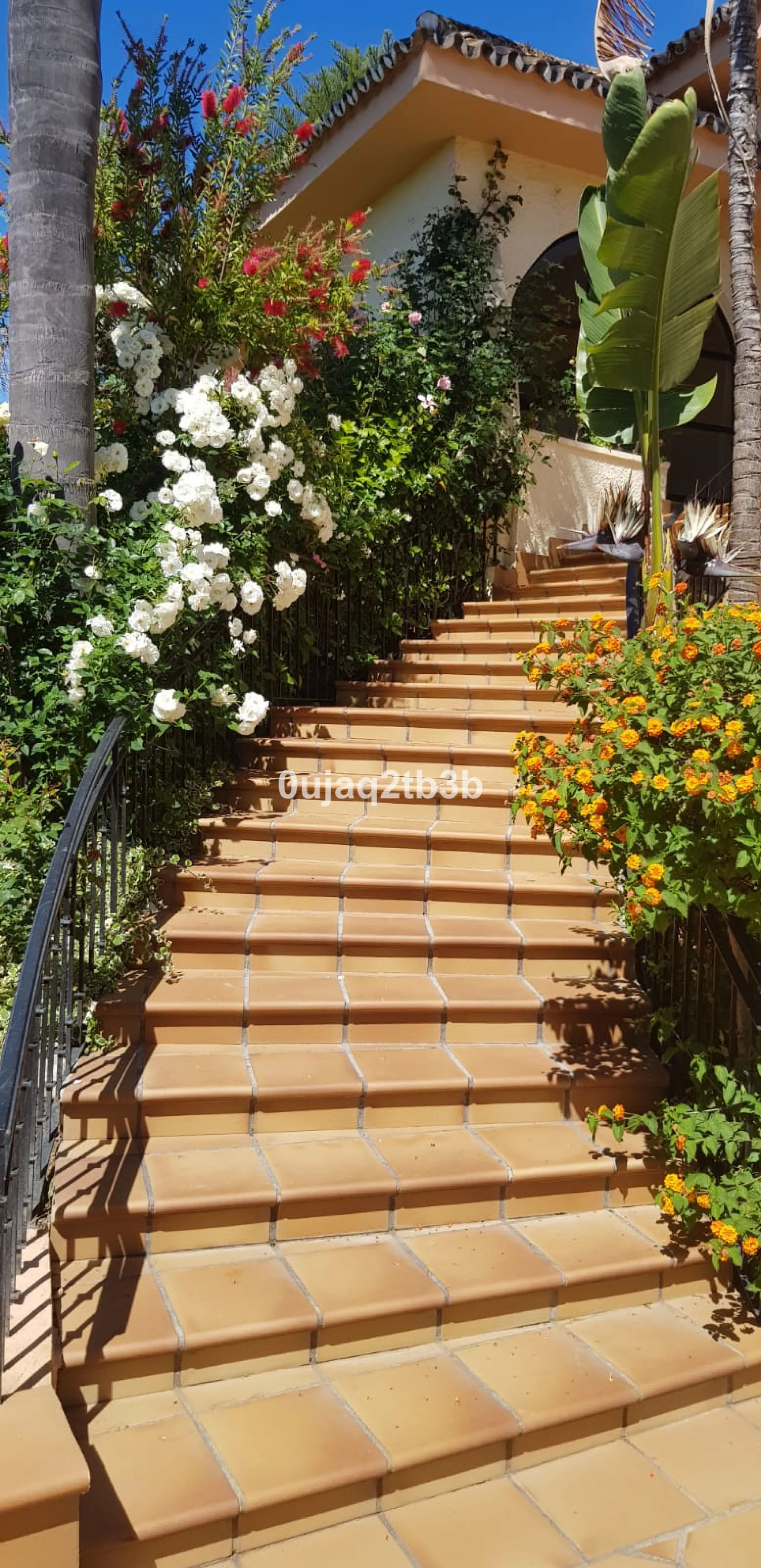 House - Detached Villa в продаже в Estepona, Málaga. В доме 5 спален и 4 ванных комнат. Площадь дома 528 м². Площадь участка 1525 м²