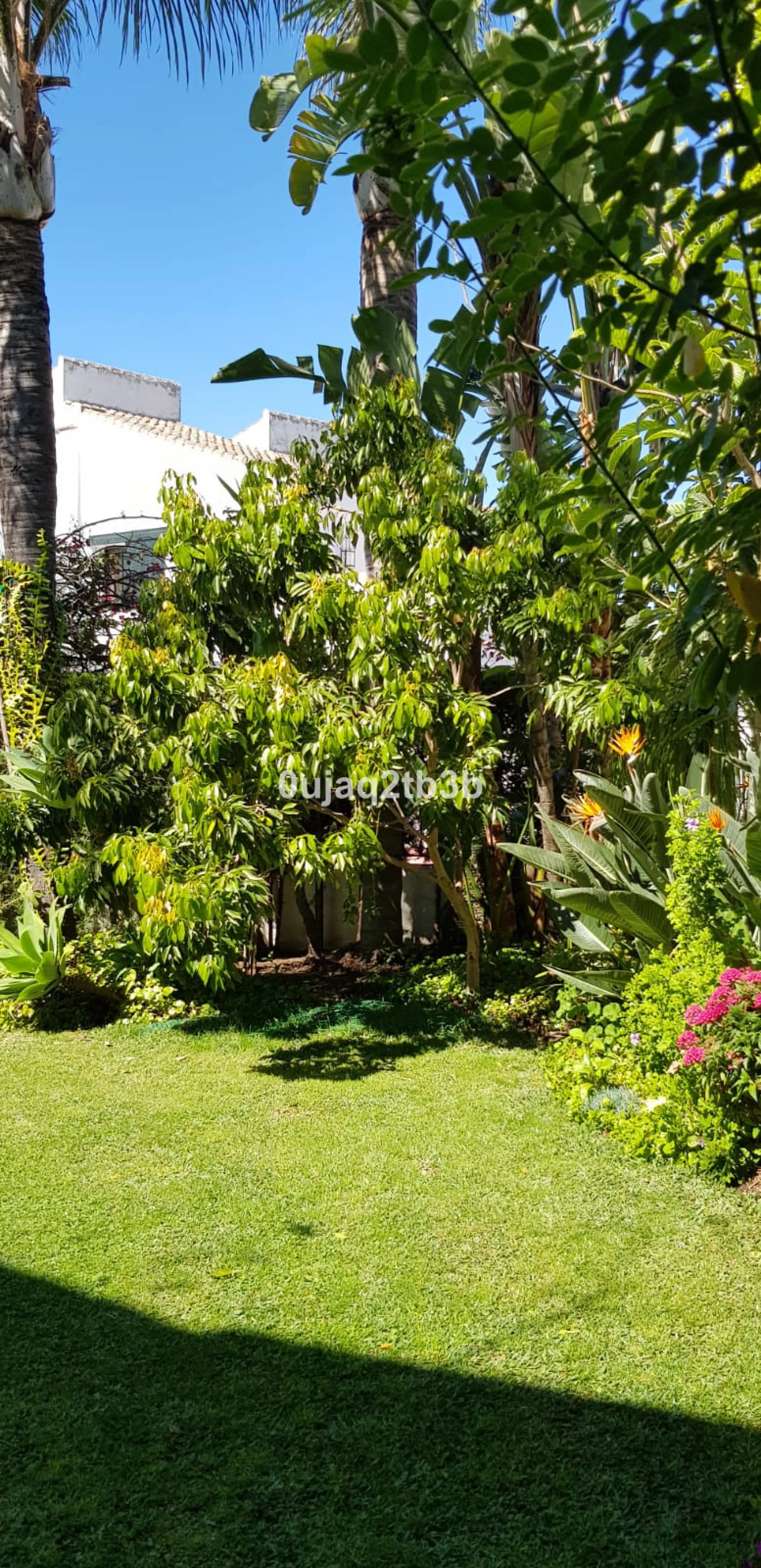 House - Detached Villa в продаже в Estepona, Málaga. В доме 5 спален и 4 ванных комнат. Площадь дома 528 м². Площадь участка 1525 м²