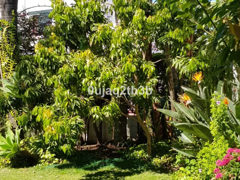 House - Detached Villa в продаже в Estepona, Málaga. В доме 5 спален и 4 ванных комнат. Площадь дома 528 м². Площадь участка 1525 м²