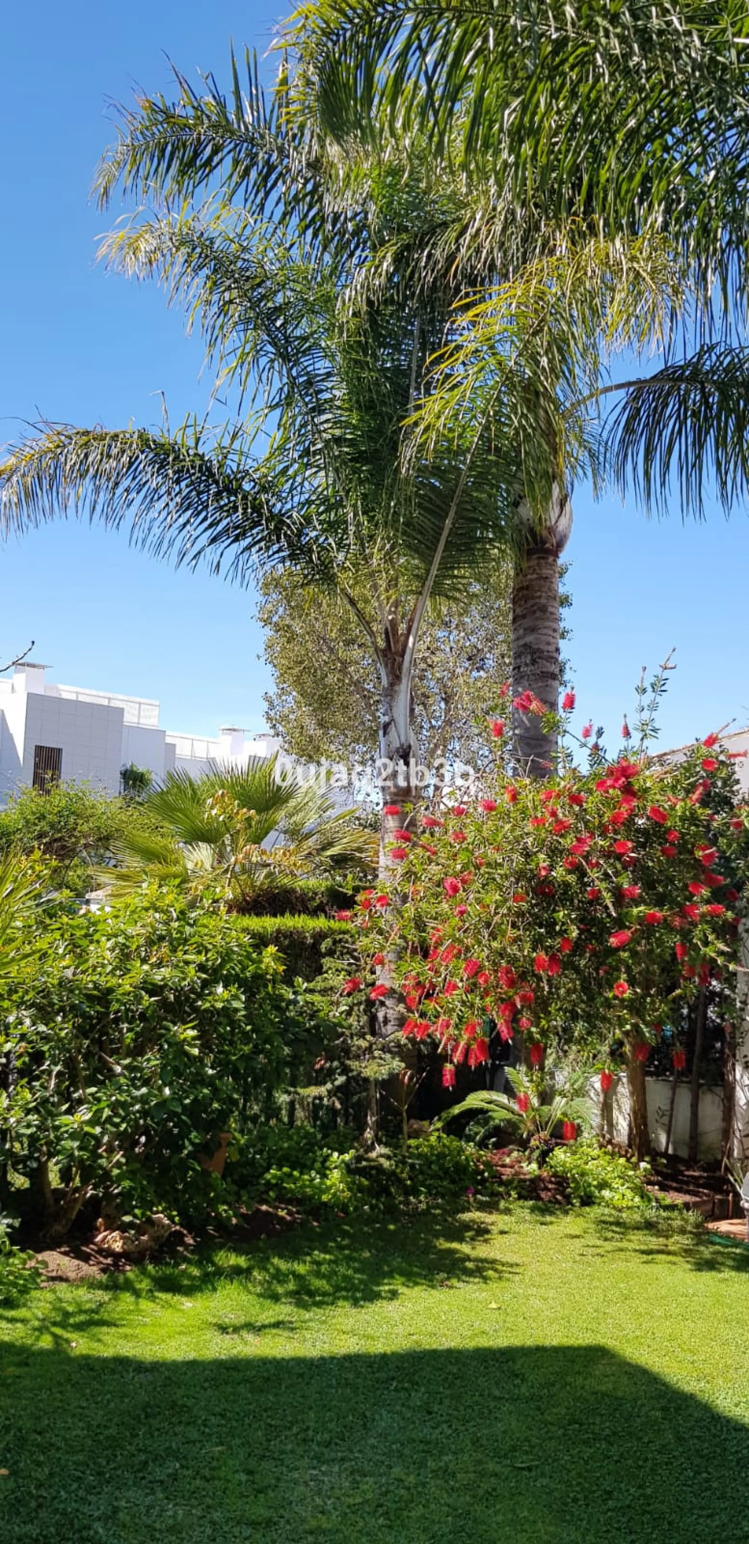 House - Detached Villa в продаже в Estepona, Málaga. В доме 5 спален и 4 ванных комнат. Площадь дома 528 м². Площадь участка 1525 м²