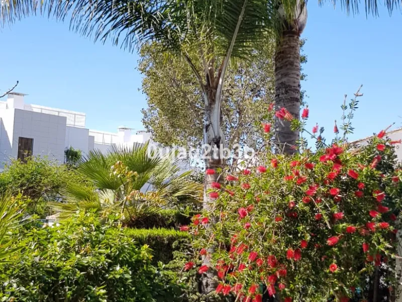 House - Detached Villa в продаже в Estepona, Málaga. В доме 5 спален и 4 ванных комнат. Площадь дома 528 м². Площадь участка 1525 м²