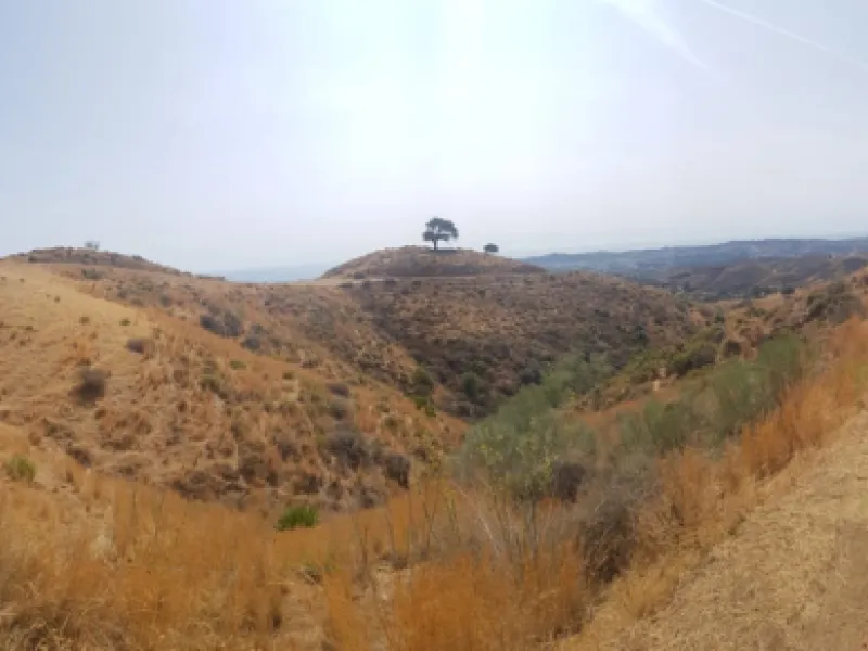 Rustic land situated between Valtocado and Mijas Pueblo. Total around 60,000m2.