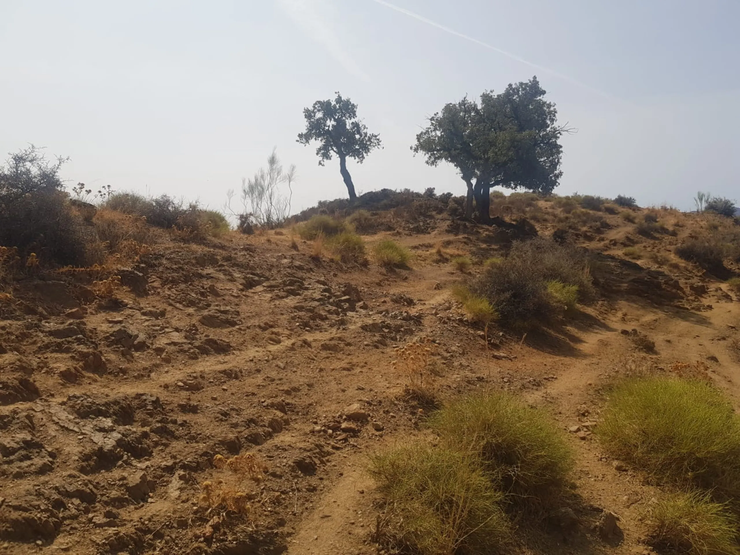Rustic land situated between Valtocado and Mijas Pueblo. Total around 60,000m2.
