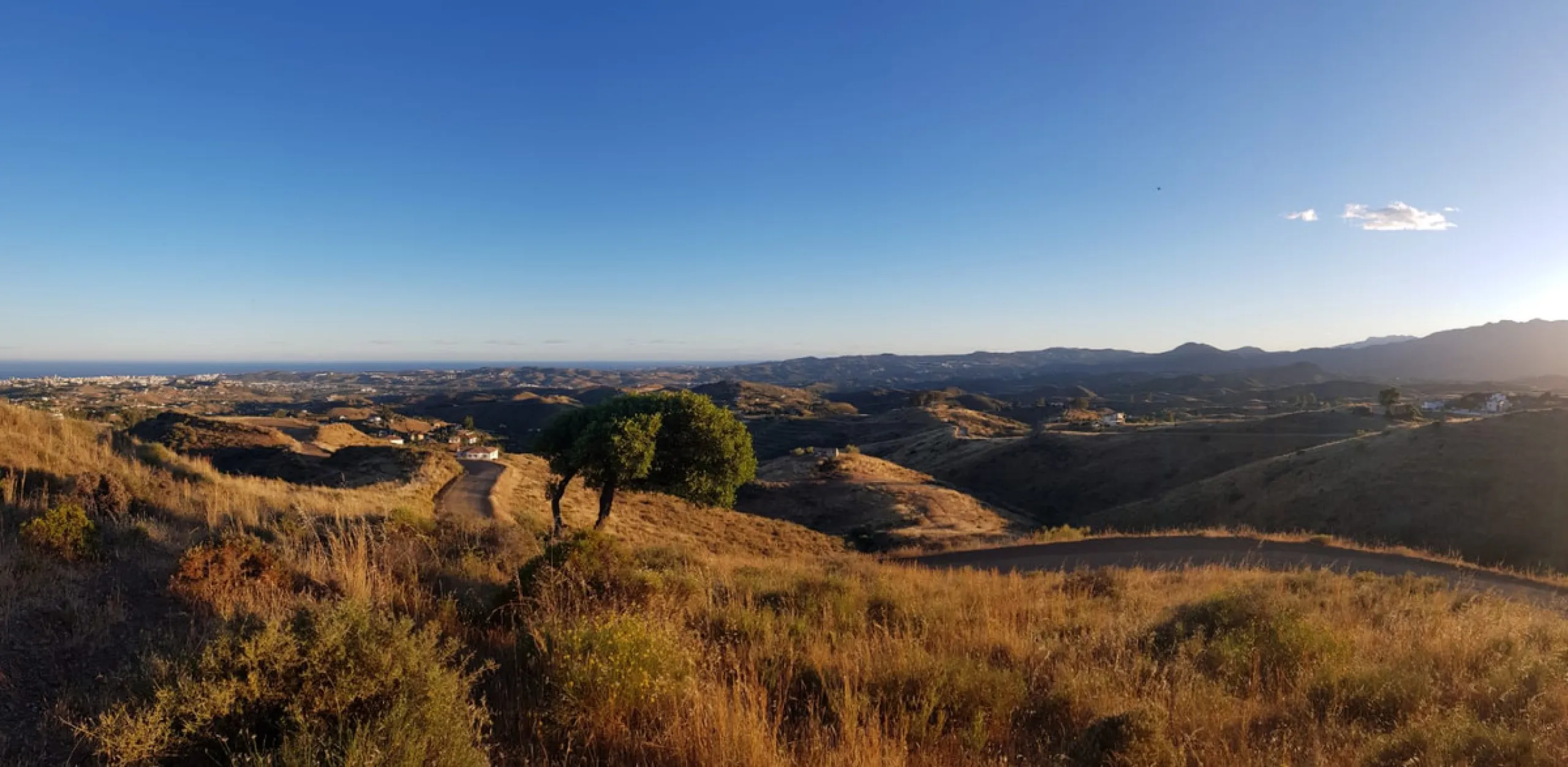 Rustic land situated between Valtocado and Mijas Pueblo. Total around 60,000m2.