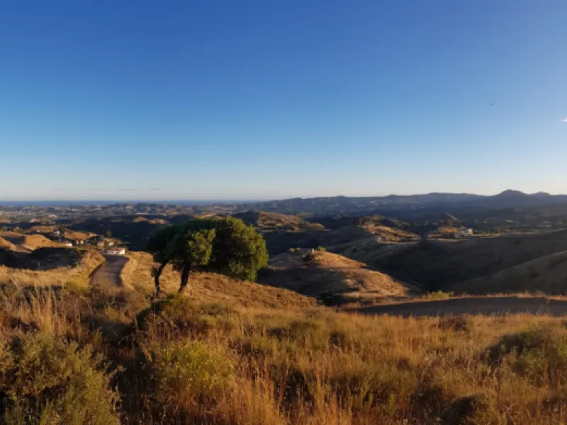 Rustic land situated between Valtocado and Mijas Pueblo. Total around 60,000m2.