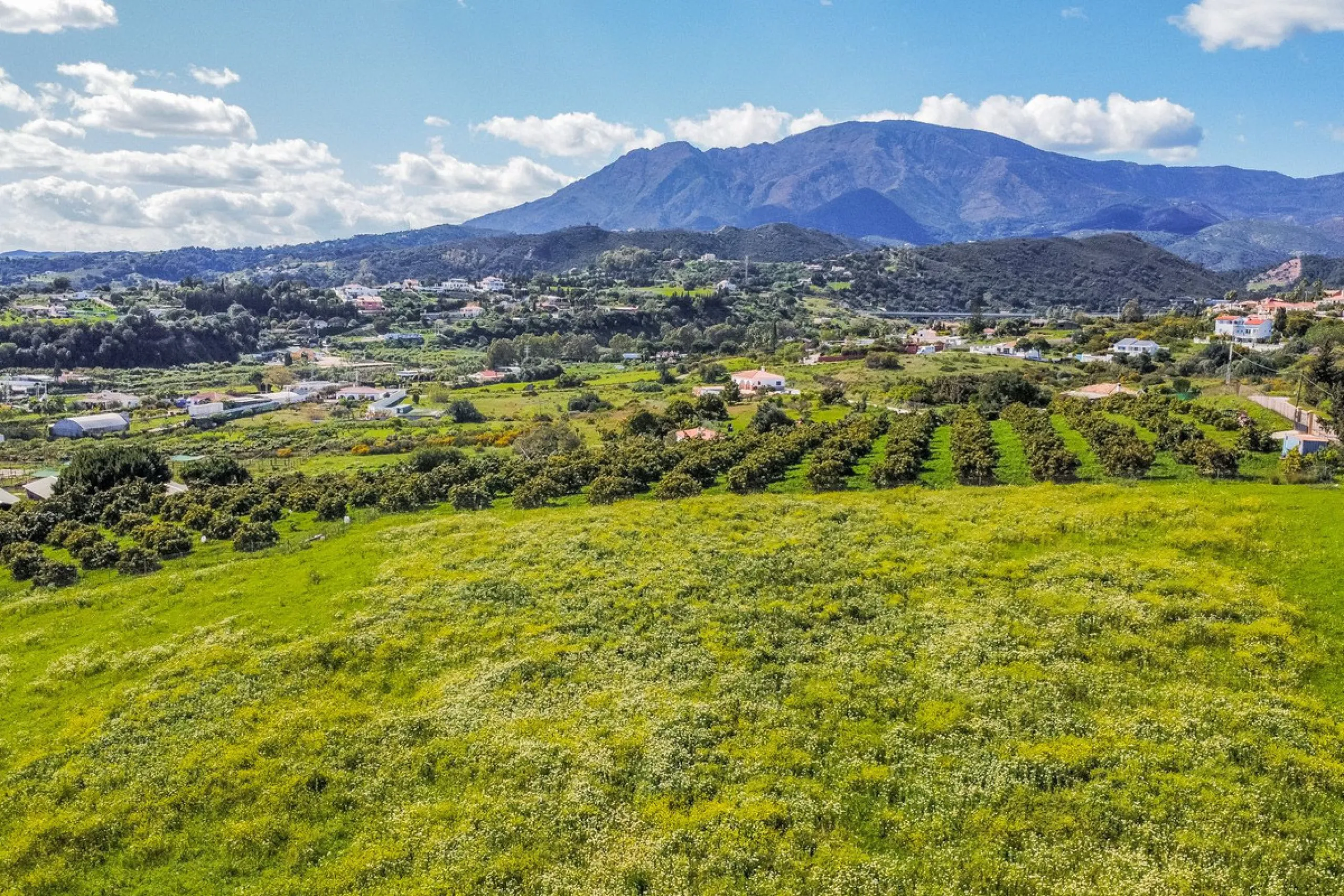 Plot - Land в продаже в Estepona, Málaga. Площадь участка 14272 м²