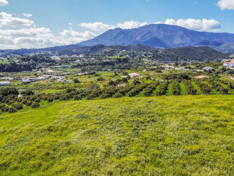 Plot - Land в продаже в Estepona, Málaga. Площадь участка 14272 м²