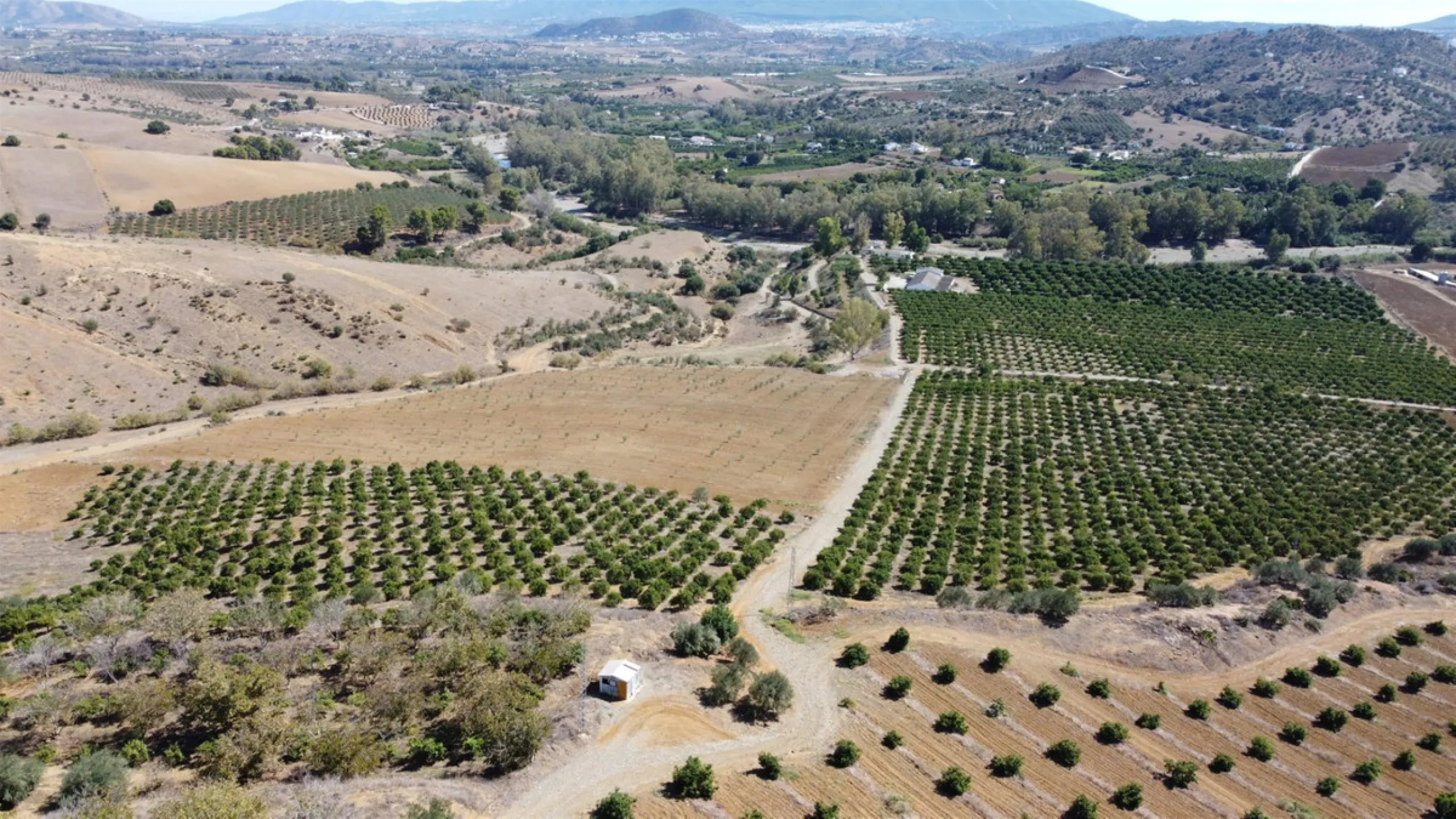 58 hectares in Coín with unlimited water
