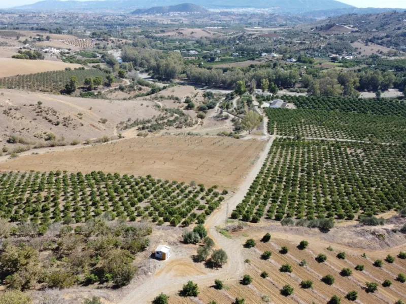 58 hectares in Coín with unlimited water