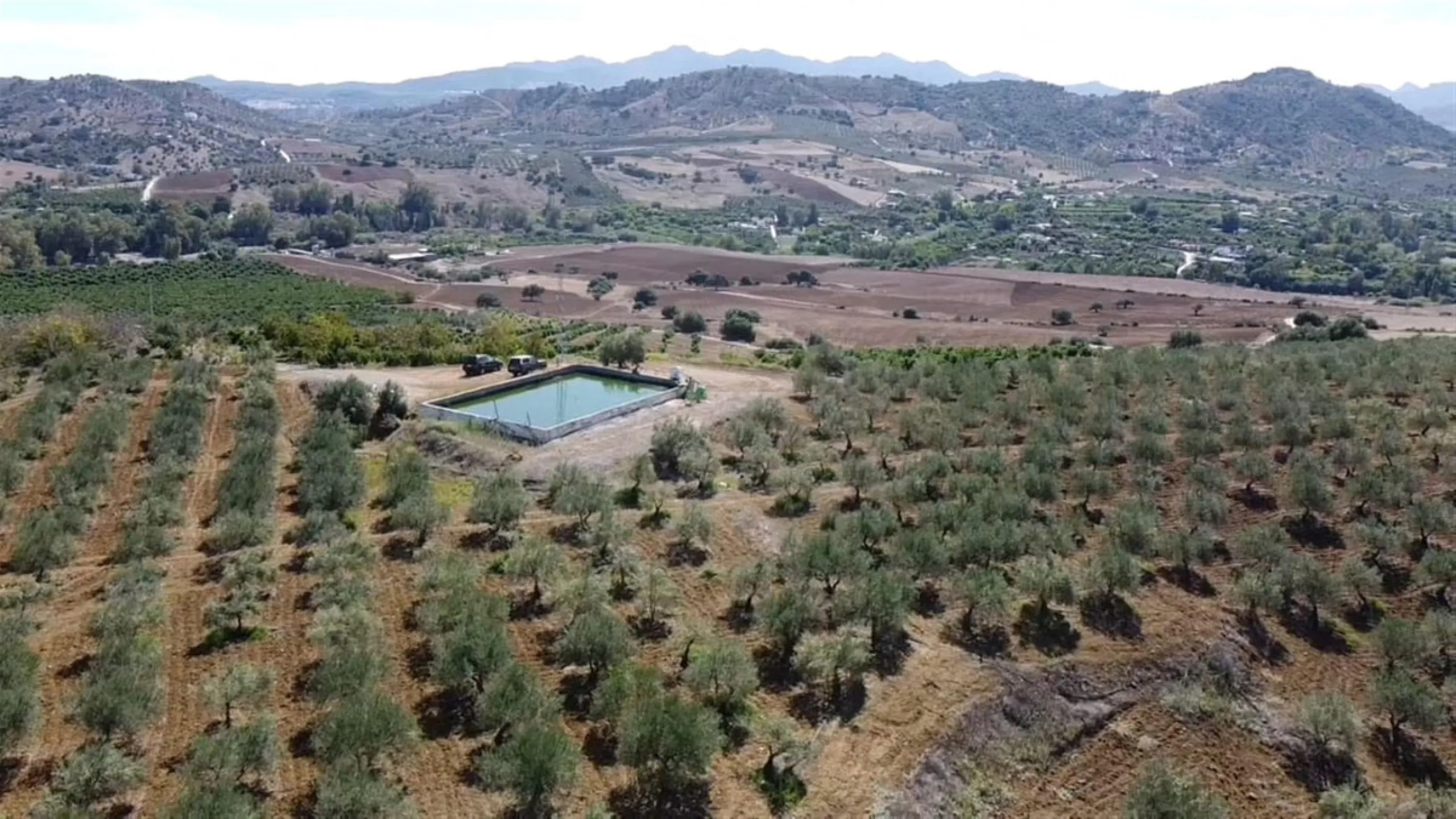 58 hectares in Coín with unlimited water