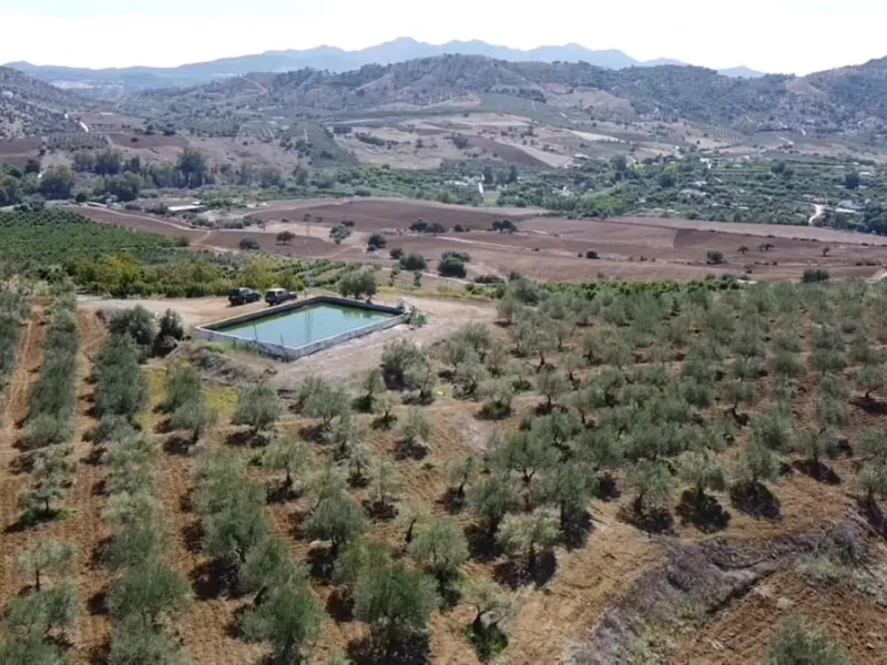 58 hectares in Coín with unlimited water