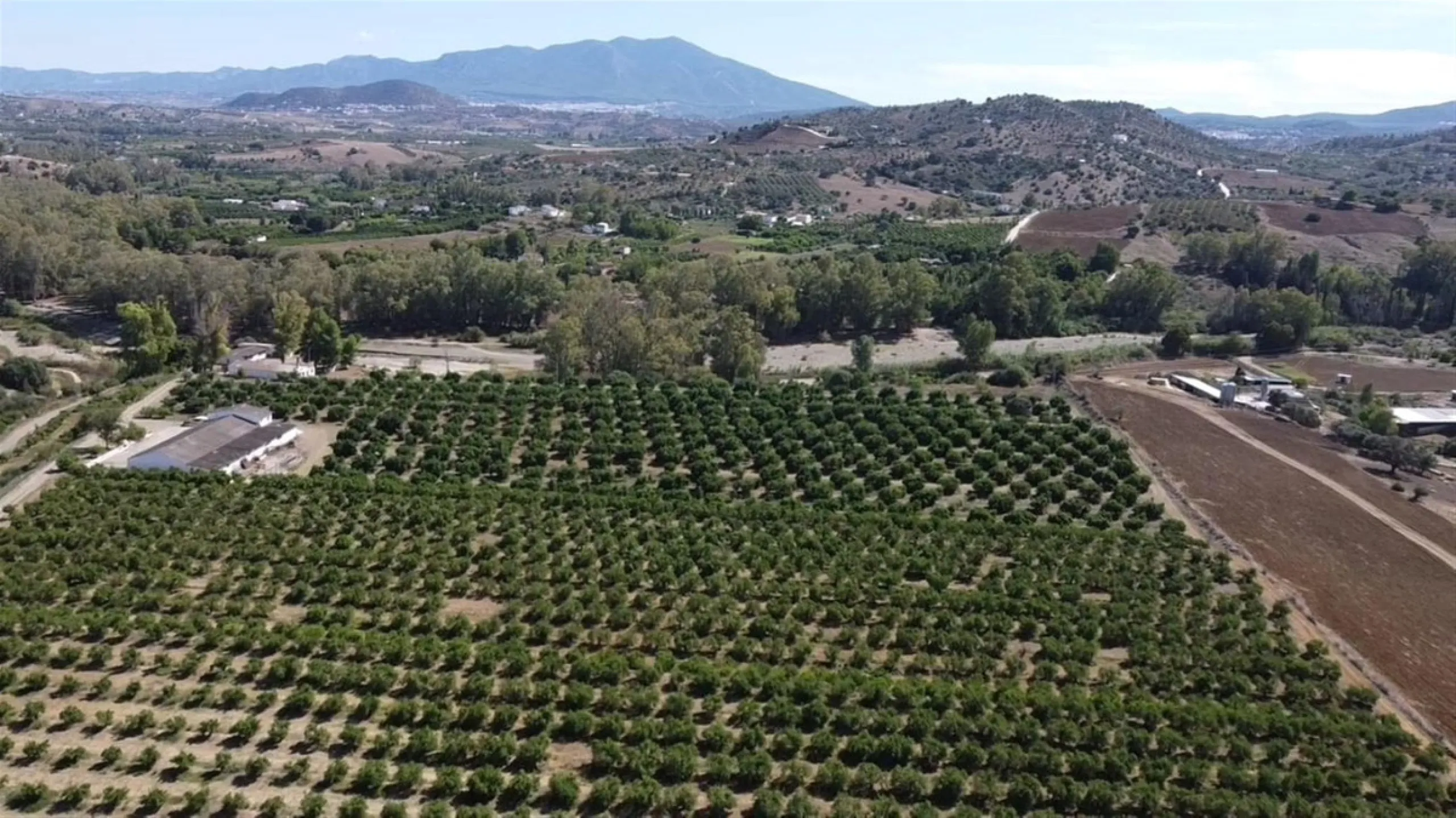 58 hectares in Coín with unlimited water