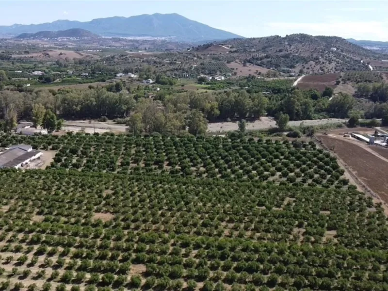 58 hectares in Coín with unlimited water