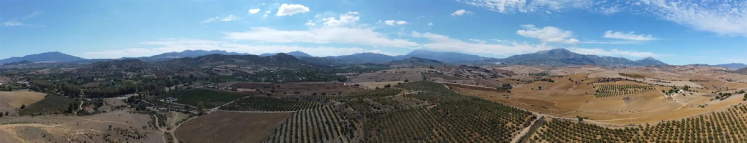 58 hectares in Coín with unlimited water